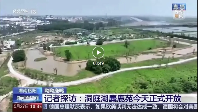 央視報(bào)道 | 易大設(shè)計(jì)EPC項(xiàng)目-湖南東洞庭湖麋鹿和鳥類救助避難中心正式開(kāi)園